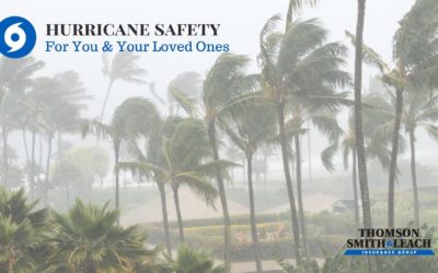 Hurricane Safety For You and Your Loved Ones, Pets too!