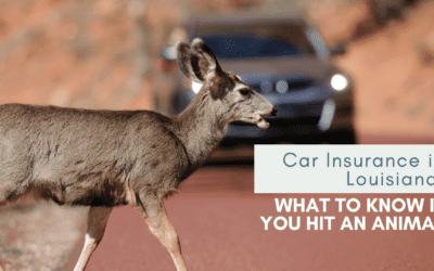 Car Insurance in Louisiana: What to Know If You Hit an Animal
